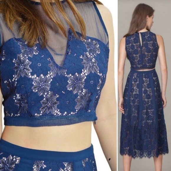 Anthropologie Foxiedox Navy Lace Crop Top - Picture 1 of 6